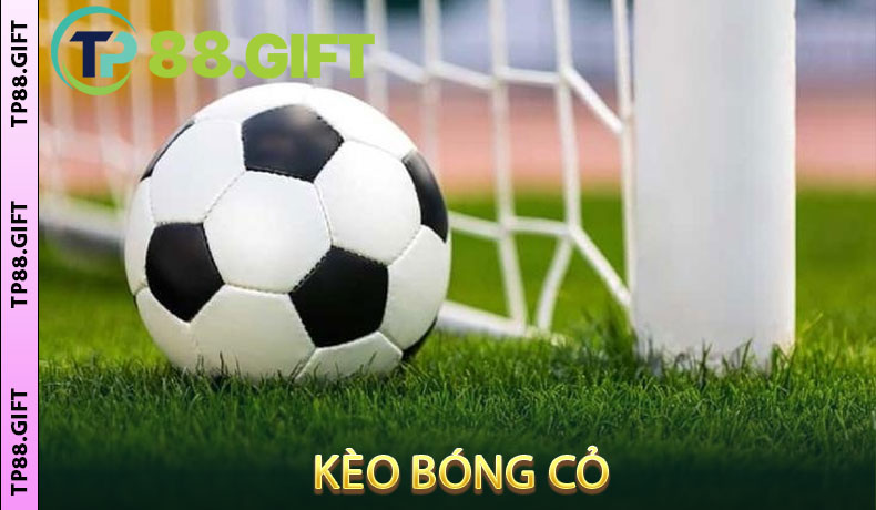 Kèo Bóng Cỏ