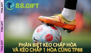 Phân Biệt Kèo Chấp Hòa Và Kèo Chấp 1 Hòa