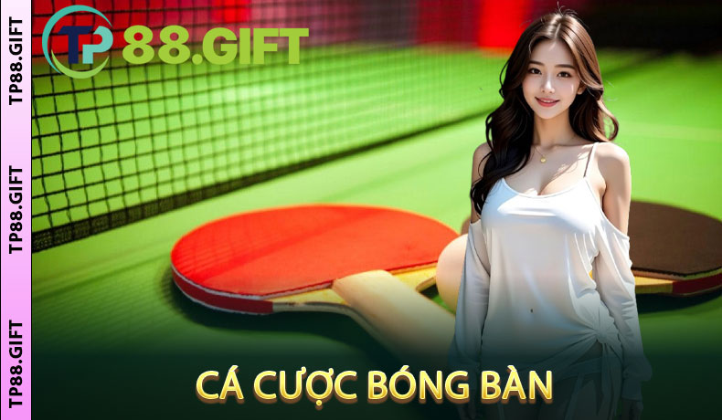Cá Cược Bóng Bàn